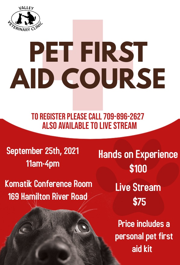 Pet First Aid – Valley Veterinary Clinic